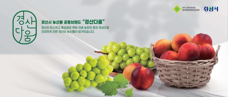 경산시 이미지 홍보 